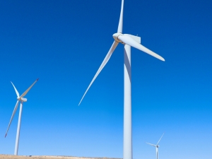 In the affording Net Zero debate, the Sylvans considered whether we can afford to reduce emissions to net zero, and agreed in a close vote.